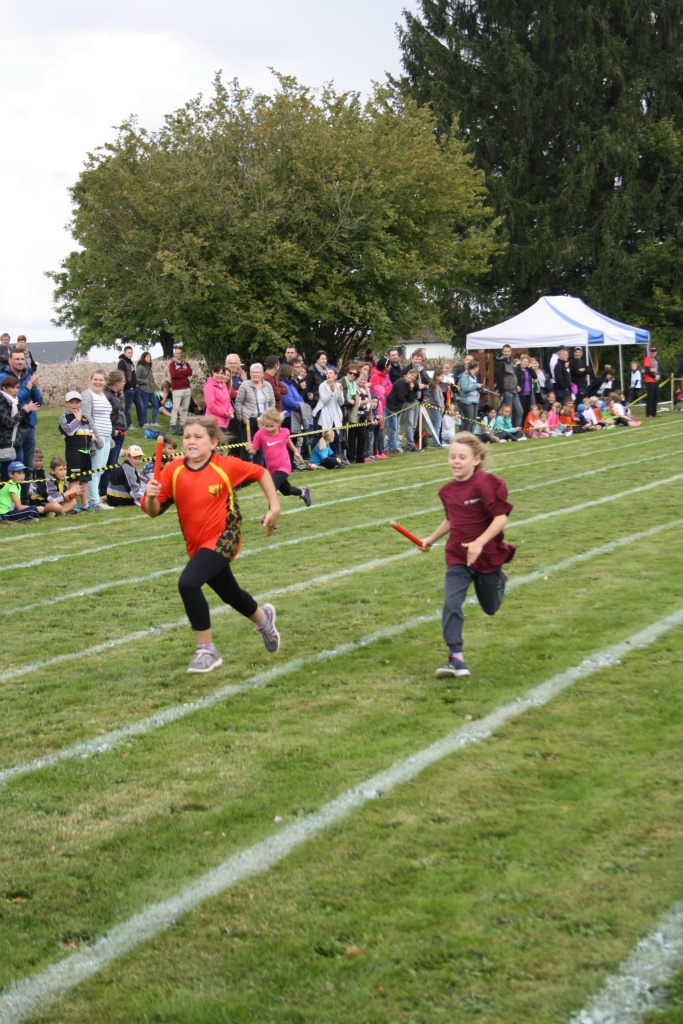 Bild 1 (140)